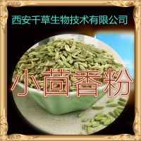 小茴香濃縮粉 藥食同源 廠家生產植物提取物香絲菜粉