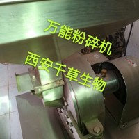 玉竹浸膏粉 供應植物提取物定做萎蕤濃縮浸膏