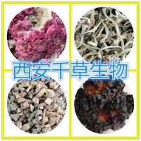 路路通提取物 供應植物提取物定做楓香果濃縮浸膏