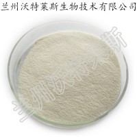 虎杖苷 虎杖提取物 含量98% 廠家供應