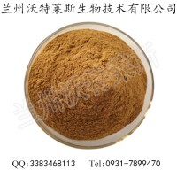 萵筍葉提取物 10:1比例 萵筍葉提取粉 專業(yè)提取