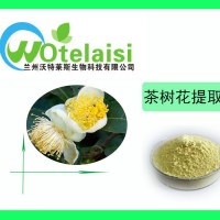 茶樹(shù)花提取物 規(guī)格10:1 茶樹(shù)花粉