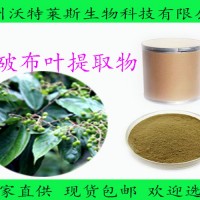 破布葉提取物  破布葉浸膏 現(xiàn)貨包郵