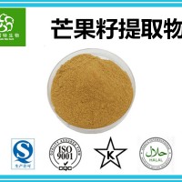 芒果籽提取物10:1 濃縮芒果籽粉 專業植物提取物廠家供應