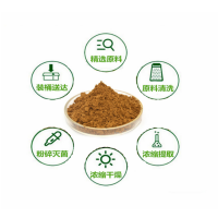 木瓜提取物 木瓜粉 速溶原料 藥食同源系列