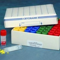 CRYOBANK菌種保藏管
