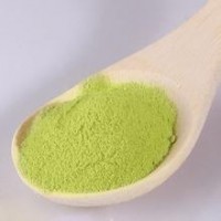鼠尾草粉-廠家