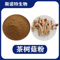 茶樹菇提取物 水溶性茶樹菇粉 植提廠家供應