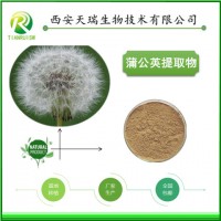 蒲公英提取物的廠家價格