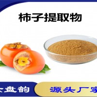 柿子提取物 柿子粉 果蔬粉 紅柿提取物