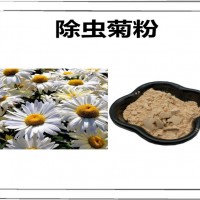 除蟲菊速溶粉 廠家發貨 除蟲菊粉