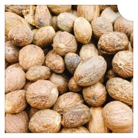 肉豆蔻提取物 比例濃縮提取 水溶性好 噴霧干燥工藝 包郵