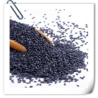 黑芝麻提取物 高比例濃縮萃取 噴霧干燥工藝 可提供小樣