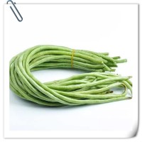 豆角提取物 全水溶噴霧干燥粉末 庫存充足 可免費試樣