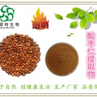 酸棗仁提取物 10:1 酸棗仁多肽粉 全水溶