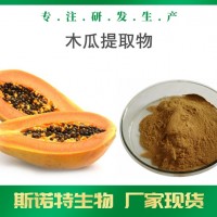 木瓜提取物 木瓜濃縮粉