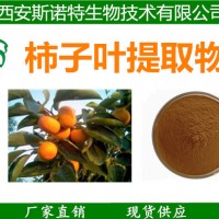 柿子葉提取物 柿子葉粉 斯諾特生物專業(yè)比例提取