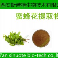 蜜蜂花提取物 香蜂草提取物 提取物 包郵