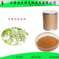洋槐花酵素 洋槐花提取物 甘肅益生祥 洋槐花汁粉