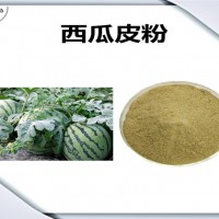 西瓜皮濃縮粉 西瓜皮粉 可定制多種規格 六盤韻