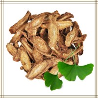 牛蒡根提取物 高倍濃縮萃取 易溶于水 噴霧干燥工藝 可試樣