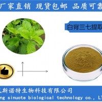 白背三七提取物 白背三七多糖廠家