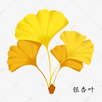 銀杏葉提取物 全水溶噴霧干燥粉末 資質齊全 質量穩定 可試樣