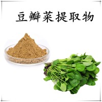 豆瓣菜提取物 比例濃縮提取 溶解性好 噴霧干燥 支持拿樣