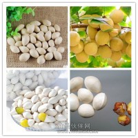 白果提取物