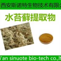 水苔蘚提取物 10:1 原料提取 斯諾特生物