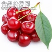 醋栗提取物