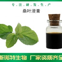桑葉浸膏 桑葉提取液