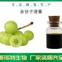 余甘子浸膏 生產廠家供應 余甘子提取液