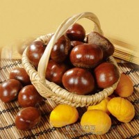 板栗檢測項(xiàng)目,板栗農(nóng)藥殘留檢測報告,板栗重金屬檢測機(jī)構(gòu)