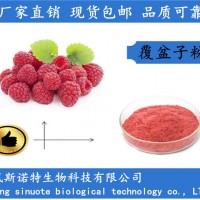 覆盆子粉 覆盆子果粉 覆盆子樹莓粉