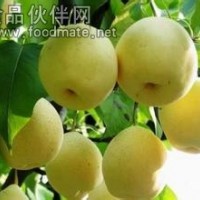 梨子粉 黃金梨果粉