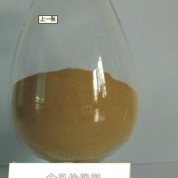 枸骨葉提取物-廠家   價格優(yōu)惠