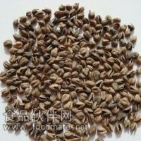 金蕎麥提取物-金蕎麥浸膏
