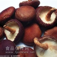 冬菇提取物-廠家  浸膏