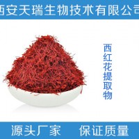 西紅花提取物   西紅花粉