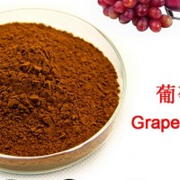 廠家供應 紅葡萄粉