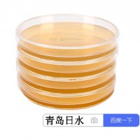 胰酪大豆東瓊脂培養基TSA2020中國藥典日水牌