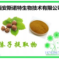 榛子提取物 榛子粉 比例萃取 供應(yīng)中