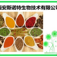 雙孢菇提取物 雙孢菇比例提取 10:1 現(xiàn)貨