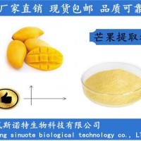 芒果提取物 芒果濃縮粉 芒果粉