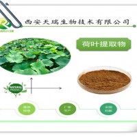荷葉粉 廠家供應 包郵