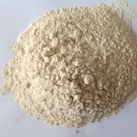 廠家直銷谷朊粉 谷朊粉價格
