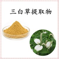 三白草提取物 棕黃精細粉末 溶解性好 規格多支持定制生產