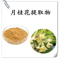 月桂花提取物 精細(xì)粉末 溶解性好 規(guī)格多支持定制生產(chǎn)