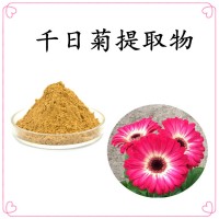 千日菊提取物 棕黃精細(xì)粉末 溶解性好 規(guī)格多支持定制生產(chǎn)